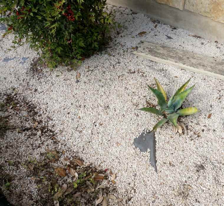 landscaping garden on pebbles stones