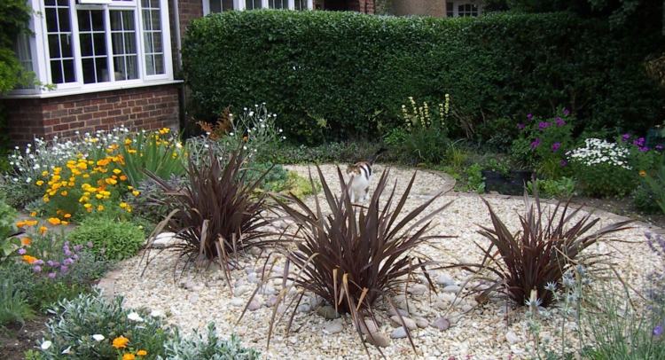 modern garden white gravel