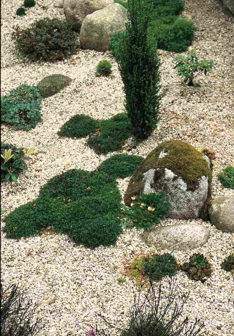 white sand gravel garden