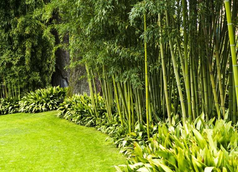 breeze view hedge bamboo garden