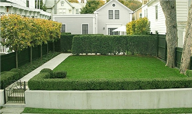 garden hedge deco