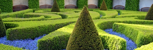 garden hedge design boxwood