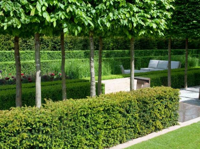 garden hedge idee deco