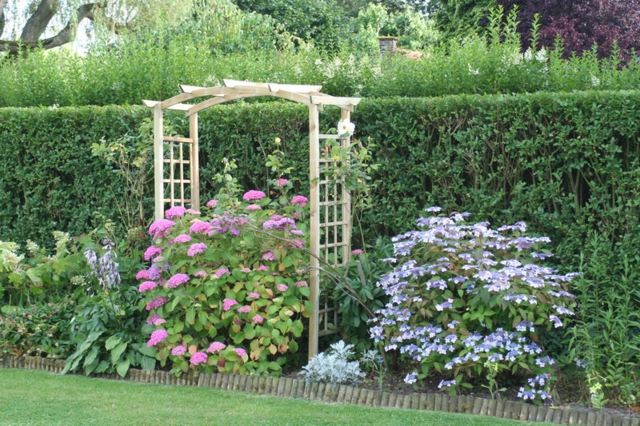 fragrant hedge garden