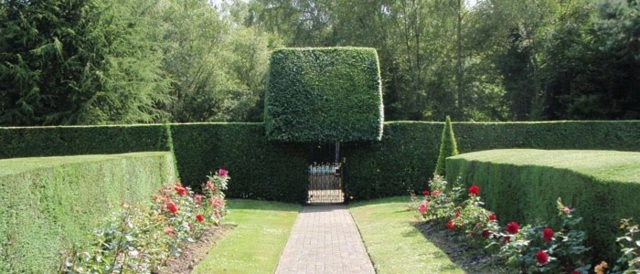 garden hedge idee deco