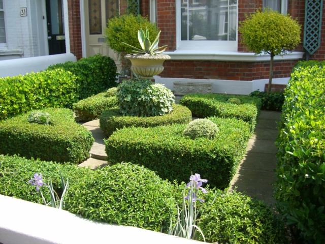 garden hedge idee design