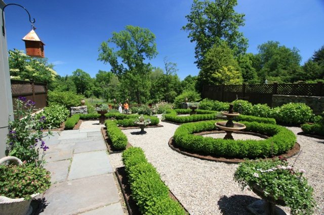 decorative garden hedges