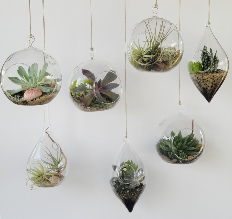 hydroponics-succulent-ideas-container-stones