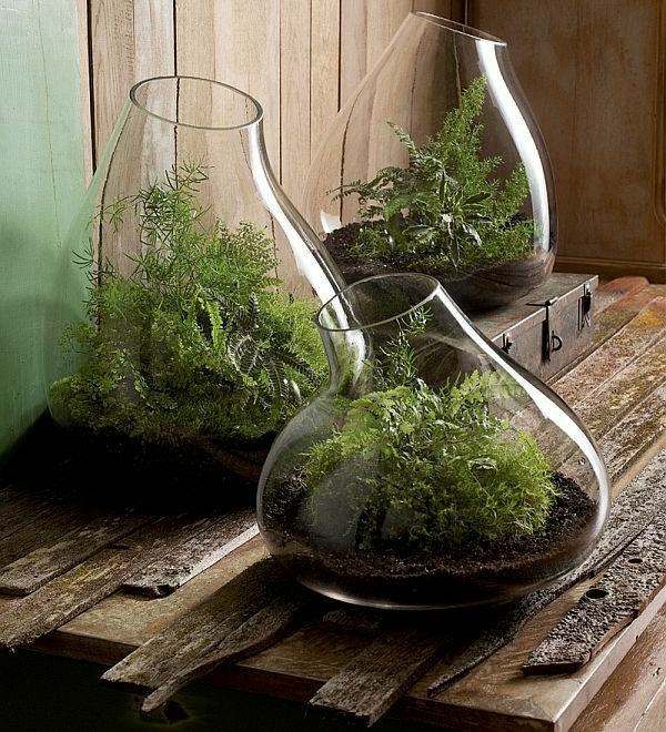 jar plant deco garden cheap idea wood storage