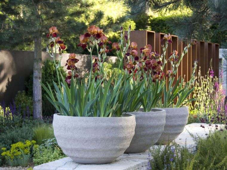 Layouts idea-garden-to-home-largest pot de fleur-outside