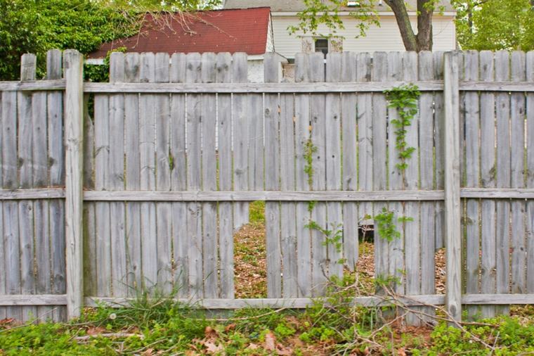 idea fence wood garden landscaping exterior