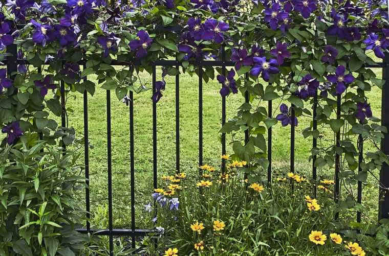 fence metal garden idea occultation outdoor space trend