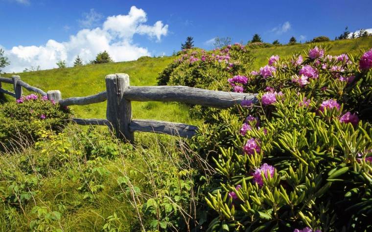 fence wood rustic idea garden landscaping