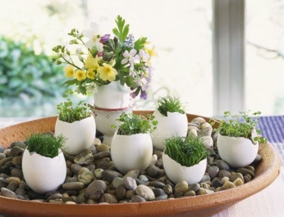 spring idea idea kreatif