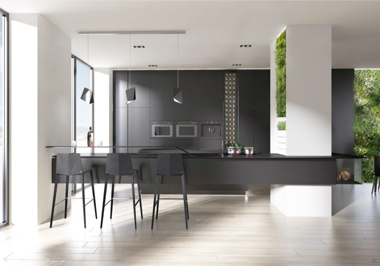 design kitchen design ilot garden vertical black color