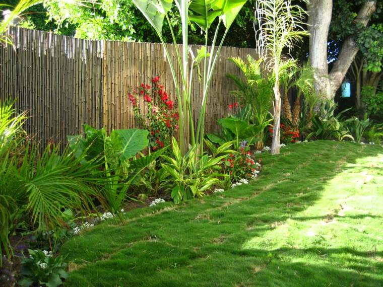 bamboo garden fence vegetation garden ground green