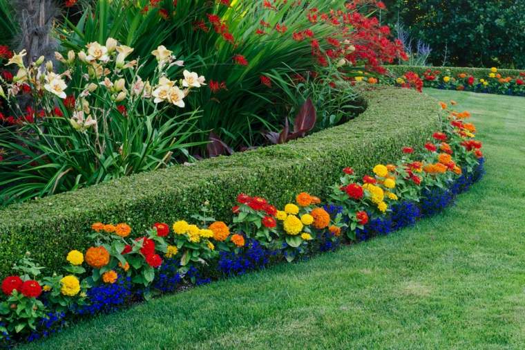 garden idea floral hedge