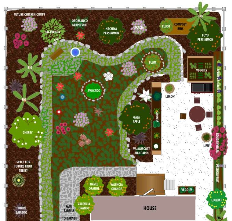 garden planting plan vegetation drawing