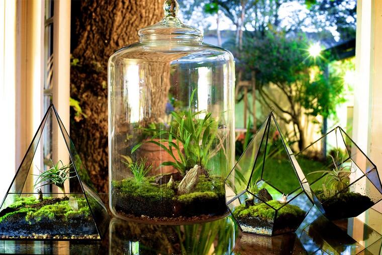 container glass terrarium idea plant greasy deco