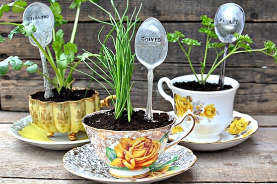 idea deco original garden herbs