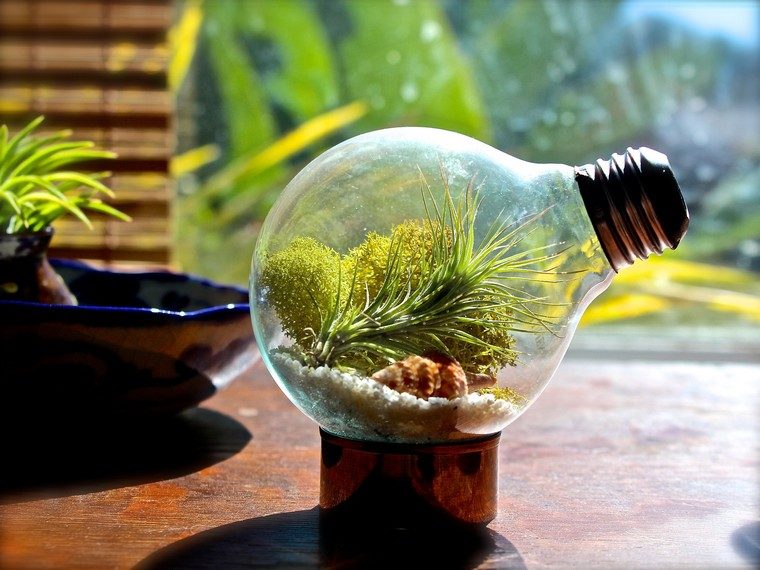 light bulb terrarium idea mini garden create mini garden