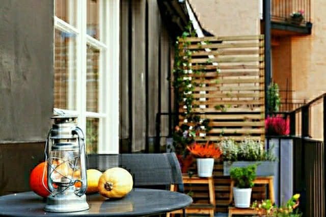 idea plants color design outdoor terrace balcony garden house design modern terrace sun beautiful