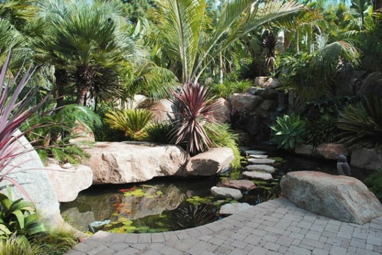 aquatic garden design idea