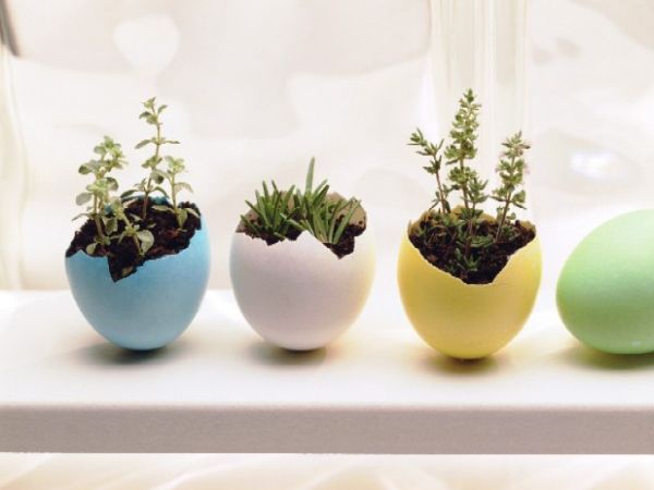 DIY idé planter eggskjell