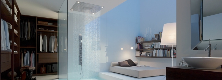 modern deco shower idea'italienne