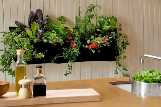 garden idea vegetable interior