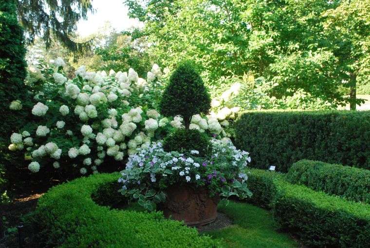 topiary garden decoration idea