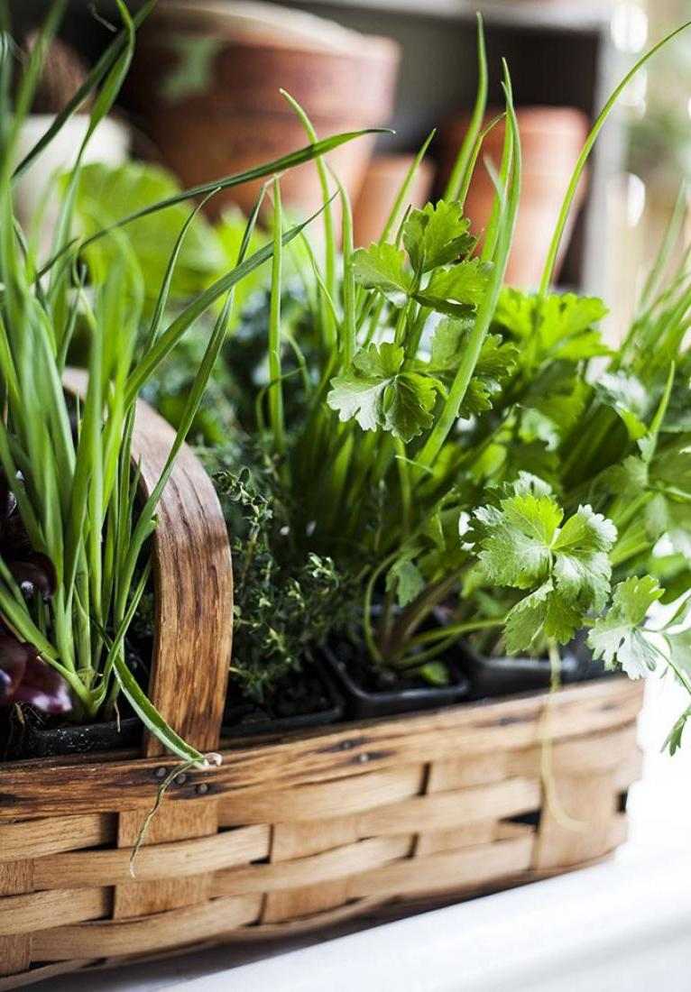 vegetable garden on balcony gardener diy wood idea arrange balcony parsley