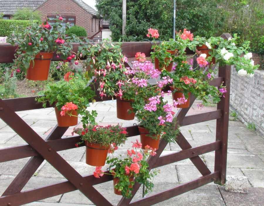 original gardener idea terrace flower pots