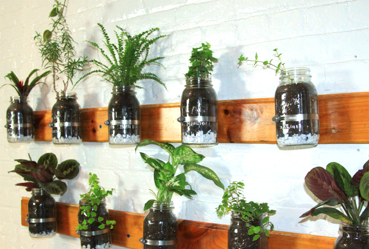 vertical garden wall idea flowerpot