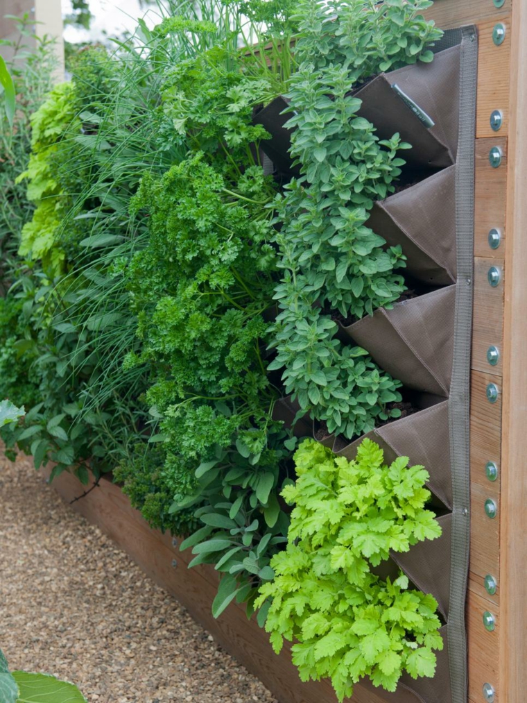 vertical wall garden plant idea landscaping