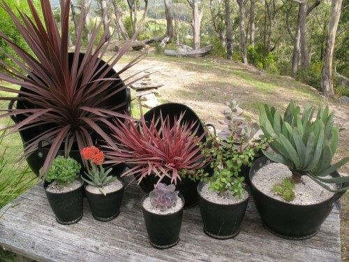 idea pots DIY tire pots