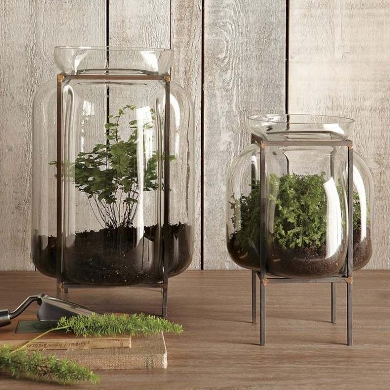 garden idea bottle realize terrarium apartment