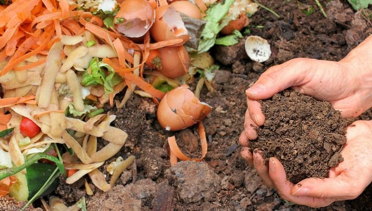 composter interior apartment compost to