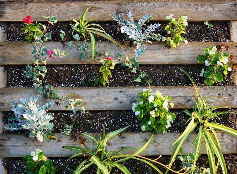 ideas-deco-pallet-wood-gardener plants outside