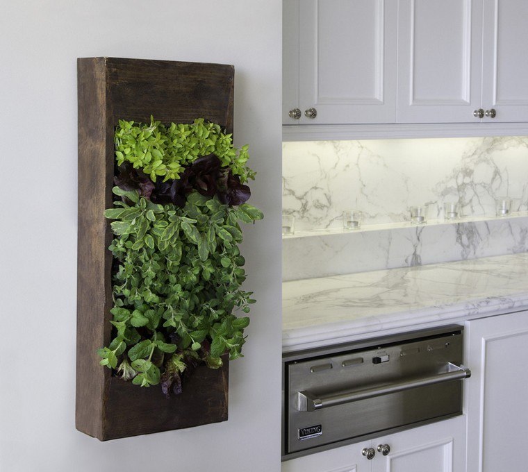 gardening ideas-with-pallet-deco-interior-kitchen-wood plants