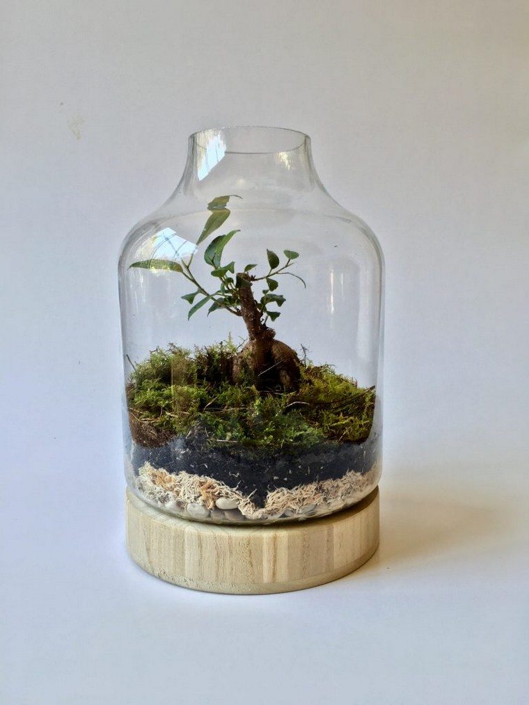 garden bottled glass terrarium idea