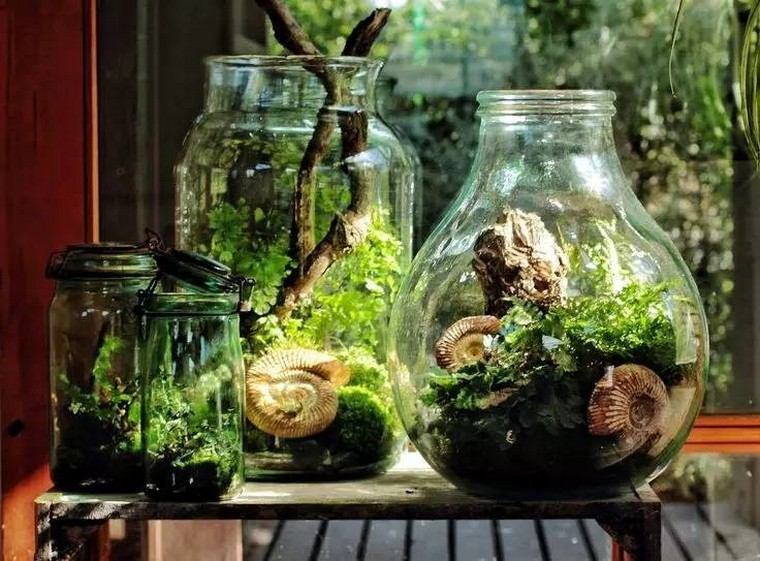 plant glass idea grow plants indoor apartment