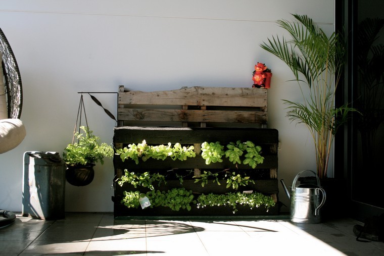 ideas pallet-deco-gardener-balcony plants