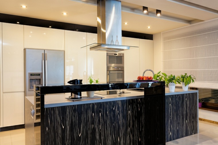 modern plan kitchen central island