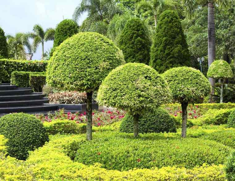 outdoor topiary design