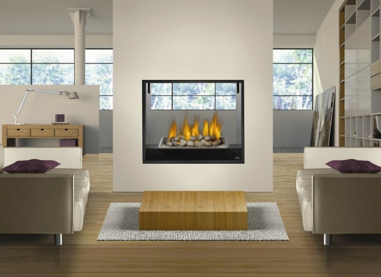 Fireplace Insert Double Face 50 Ideas, Double Sided Ventless Fireplace Inserts