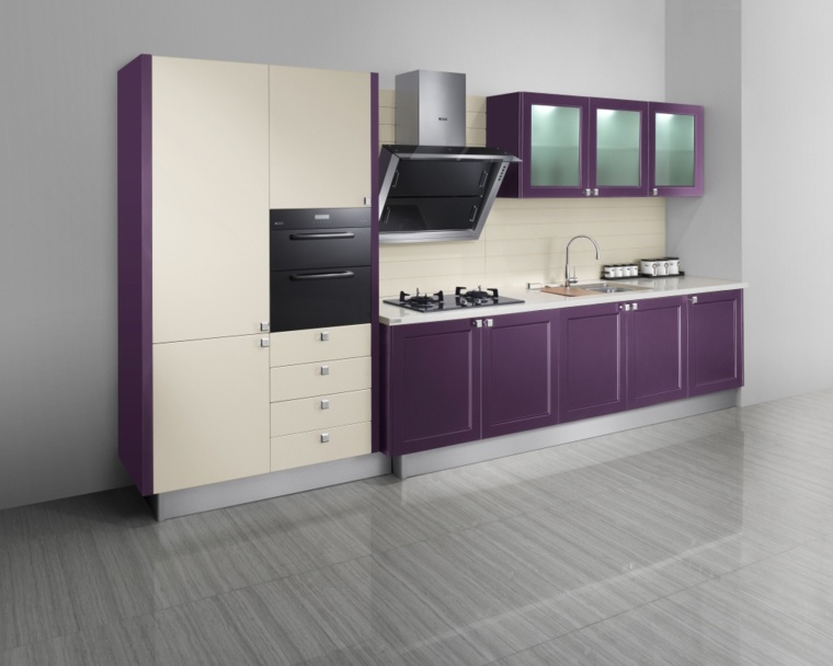 kitchen aubergine white modern design parquet gray