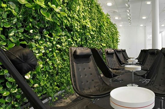 modern interior green wall