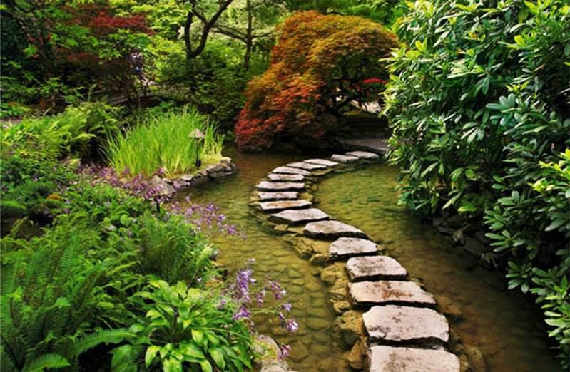 water garden with path