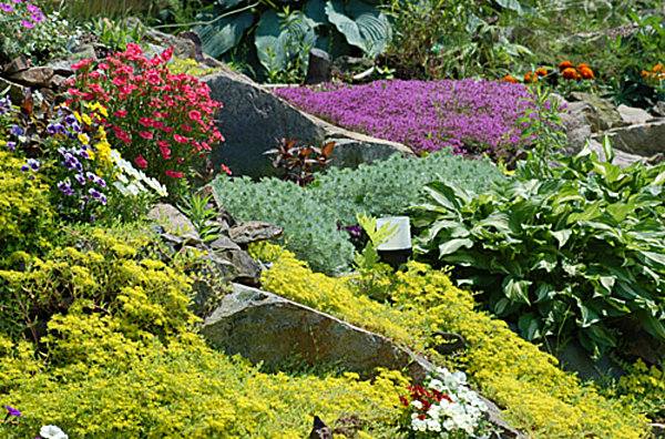 alpine garden colors